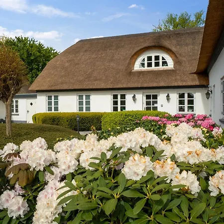 Jolanda By Interhome * Bramming